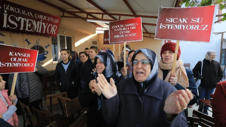 İzmir’de zeytinliklerin dibine RES için dördüncü ÇED süreci başlatıldı