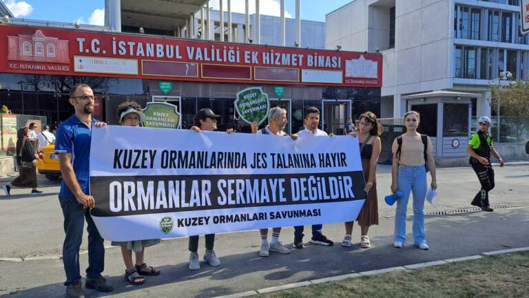 İstanbul’da 210 milyon metrekare doğal alanda JES ihalesi