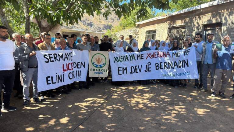 Lice’de maden projesine karşı eylem: Toprağımızdan vazgeçmeyeceğiz