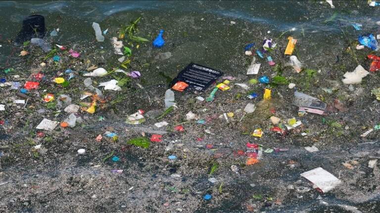 Plastikler, denizlerde istilacı türlerin yayılımını hızlandırıyor