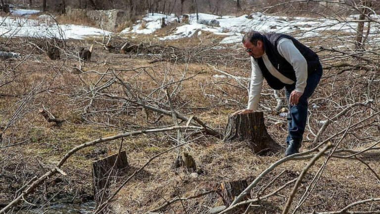 Fosil yakıt zengini Azerbaycan, Ceza Kanunu’na ‘ekokırım’ maddesini ekliyor