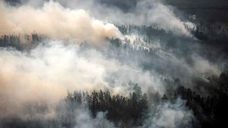 Küresel orman yangınlarından çıkan CO2 emisyonları yüzde 60 arttı