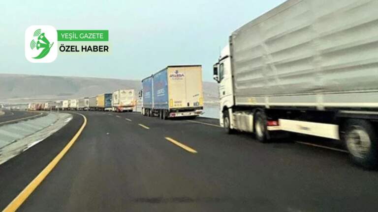 Sahte analiz raporlarıyla getirilen GDO’lu mısır operasyonunda 50 gözaltı