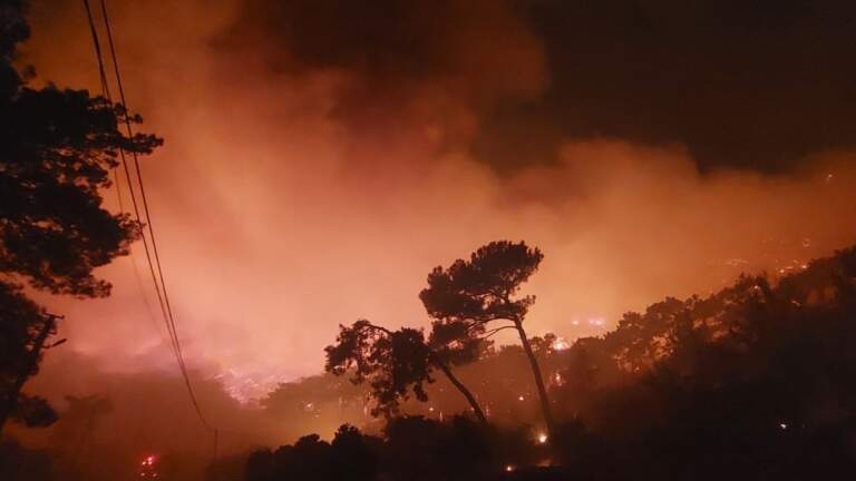 Muğla’nın altı ilçesinde orman yangını