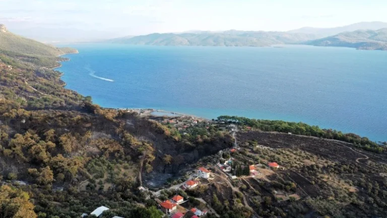 Muğla’da üç gün süren yangınların ardından: Bin hektara yakın alan kül oldu