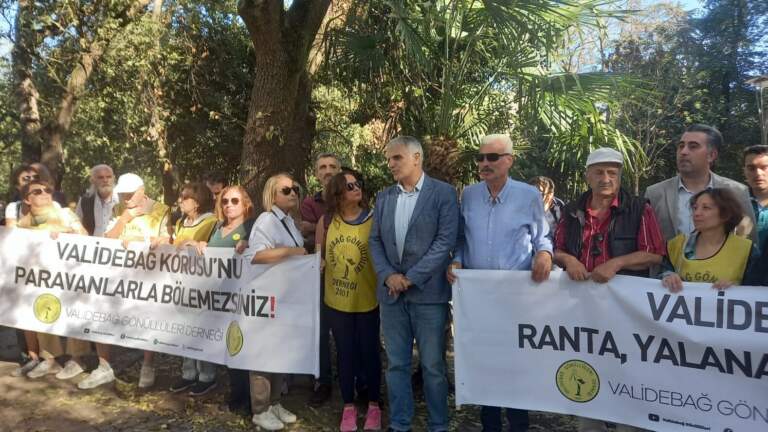 Validebağ Korusu’nda şimdi de öğretmenevi işgali