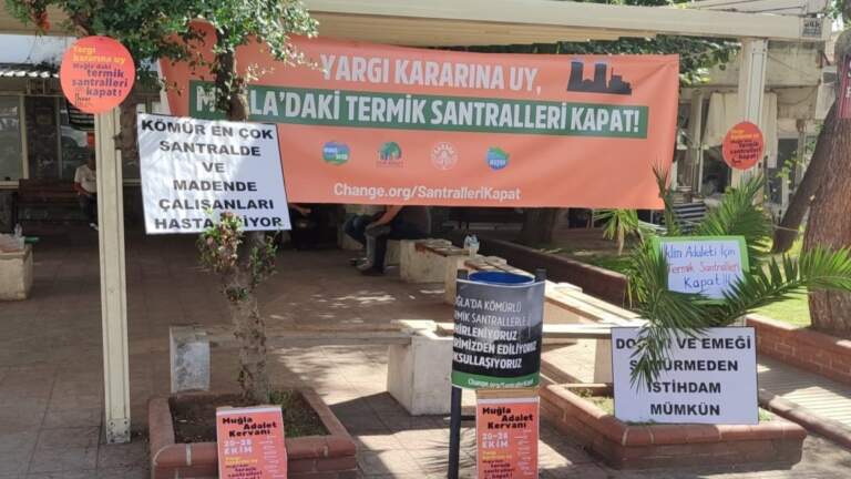 Ekoloji örgütleri: Termik santrallerin kapanışı işçiler için son değil, başlangıç olmalı