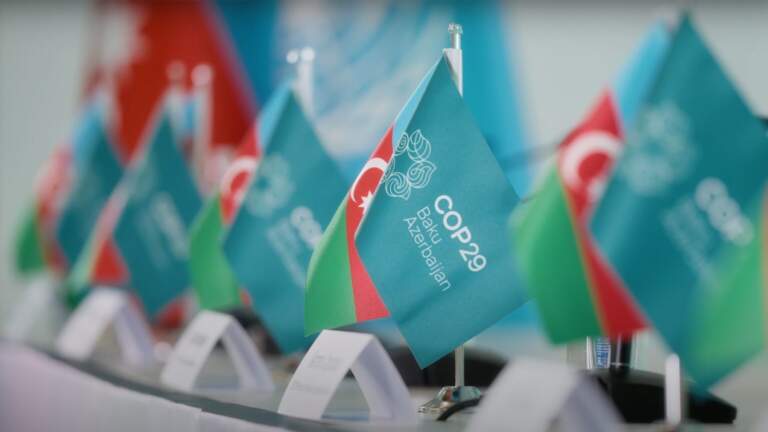 COP’un 29 yılı: Krizler, hedefler, taahhütler, hayal kırıklıkları…