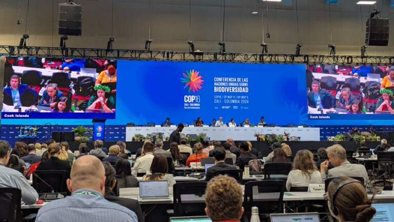[COP16] Biyoçeşitlilik Zirvesi hayal kırıklığıyla sona erdi