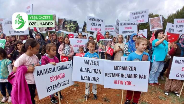 Batı Karadeniz’de maden arama ruhsatına karşı yargı süreci başlatıldı