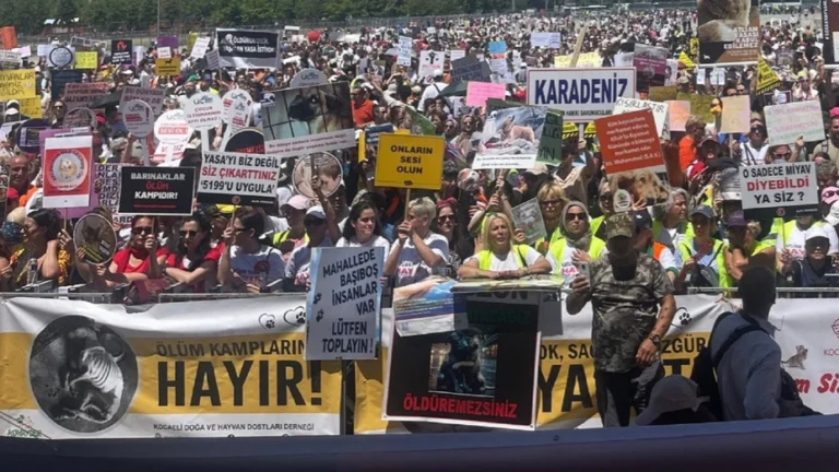 350 hak aktivisti ve sanatçıdan AYM’ye mektup: Katliam Yasası’nı bir an önce iptal edin!