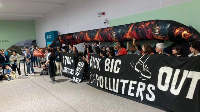 [COP29] Bakü’ye akın eden fosil yakıt lobicileri, çoğu ülke delegasyonlarını aşıyor