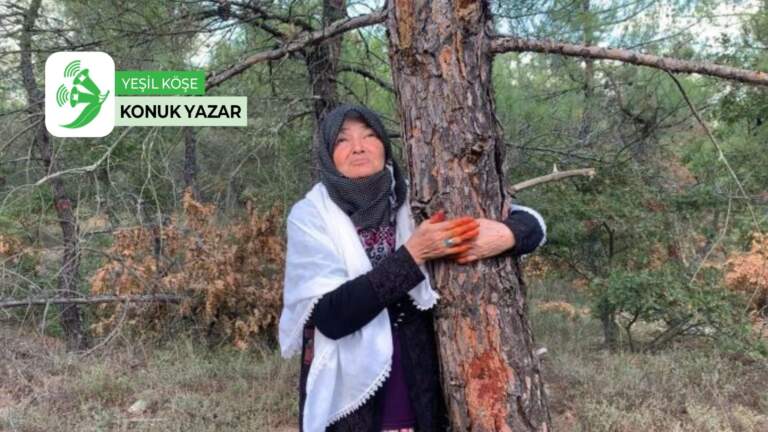 Kazdağları, yeniçeriler, madenler: Enter! – Gizem Kastamonulu