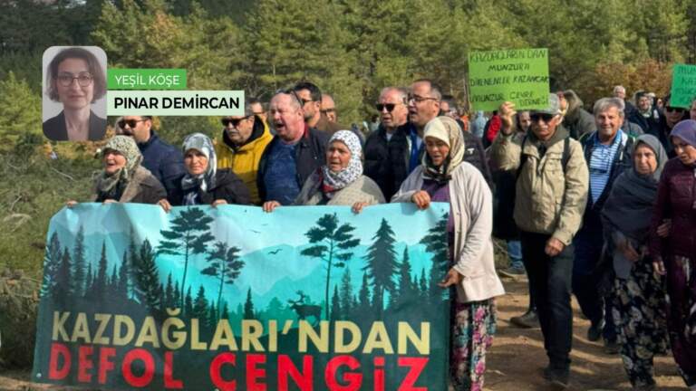 Kazdağlarını savunmak ve kurumların sessizliği: Yeni toplumsallık